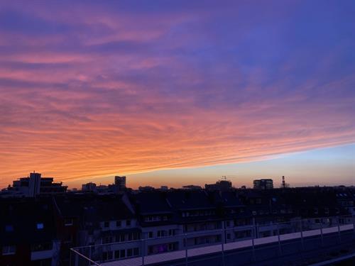 Wieder zurück. Spektakuläres Farbspiel beim Sonnenuntergang auf dem Dach der HSD. Fotos (4): HSD